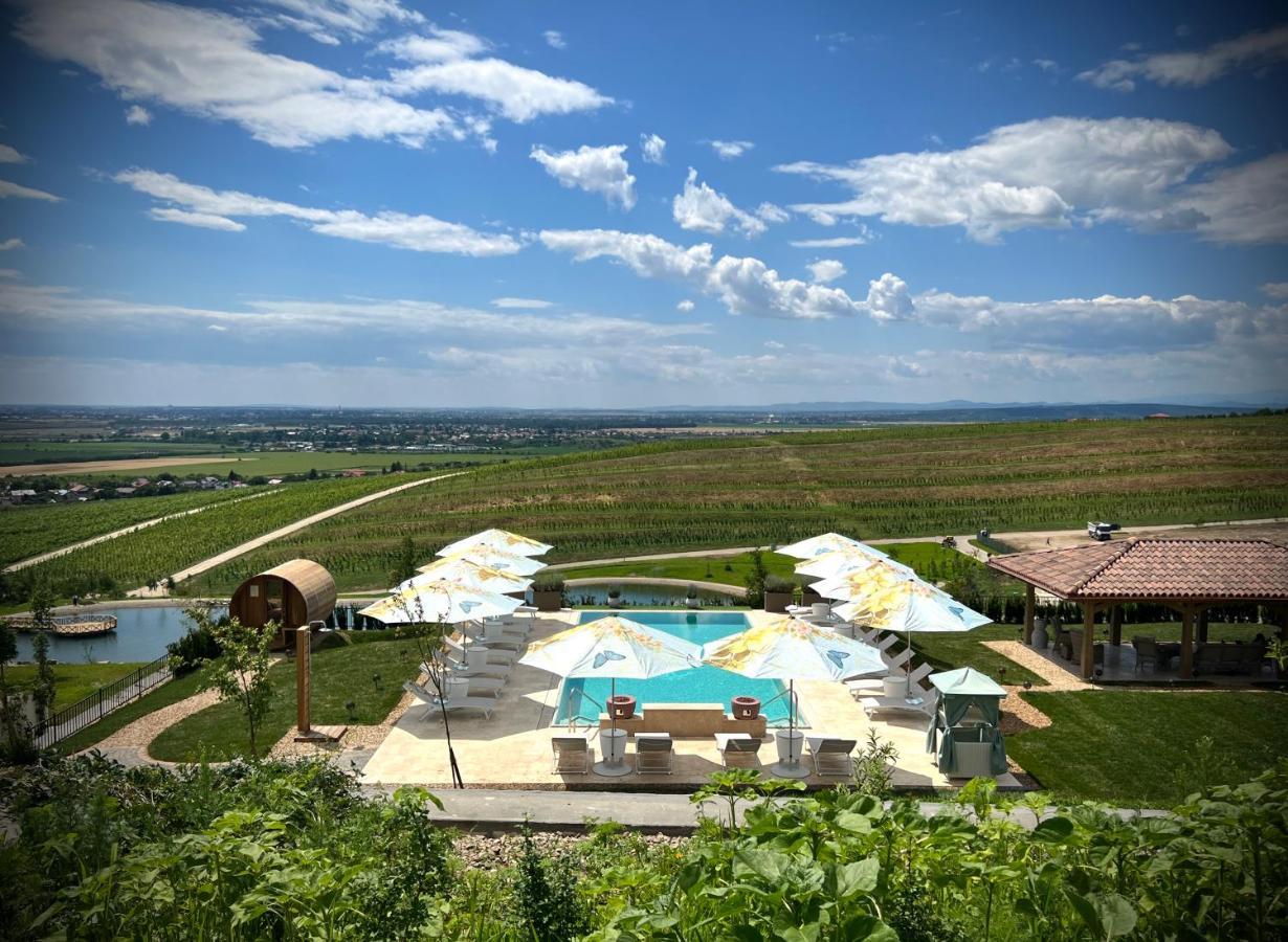 Casa Timis - Wellness & Guest house Chitorani